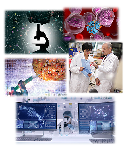 2025 Research Symposium Photo