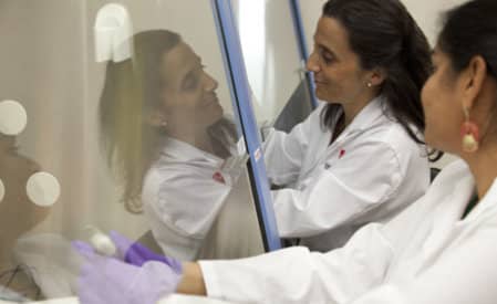 Scientists in lab coats working together at a laboratory biosafety cabinet