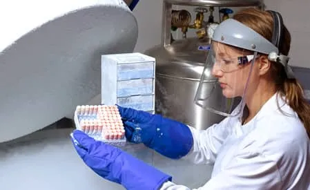 A female laboratory scientist in a white lab coat, blue nitrile gloves, and a face shield carefully examines a tray of small sample vials.