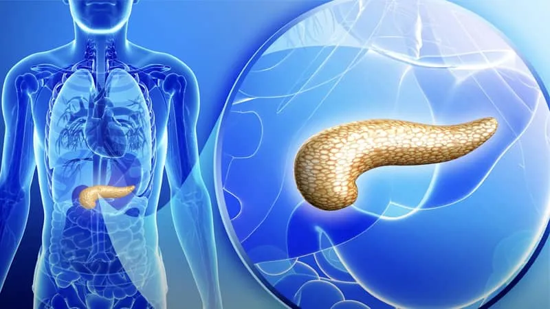 Illustration of the pancreas inside the human body with a close-up view of the organ